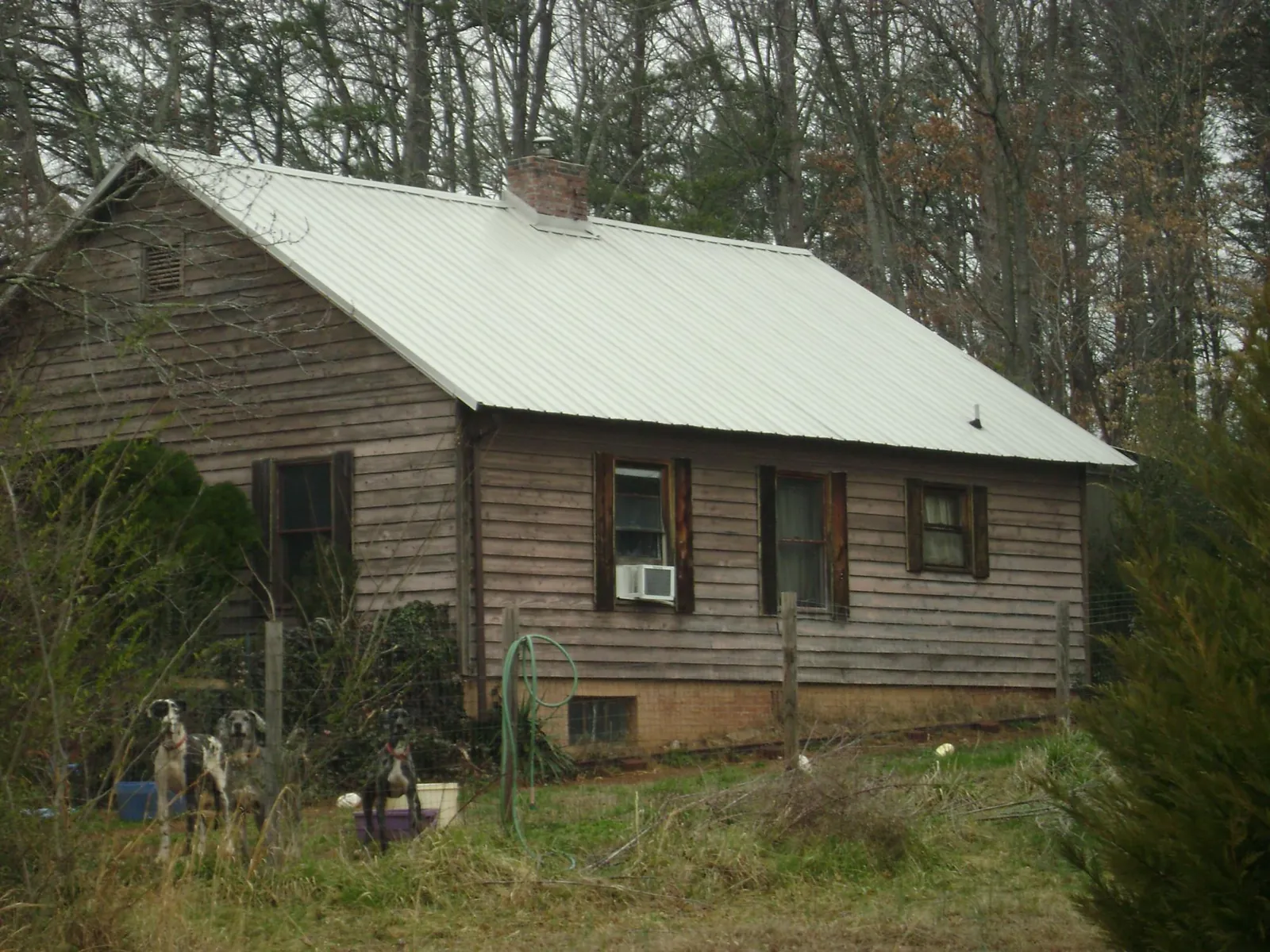 White metal roof on an old wood sided farmhouse, from a Asphalt Shingle Roof Repair job in Forestville